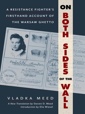 cover image of On Both Sides of the Wall